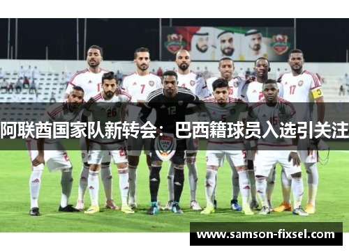 阿联酋国家队新转会：巴西籍球员入选引关注